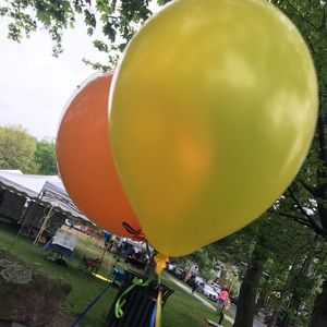 Meet your Posher, Julia